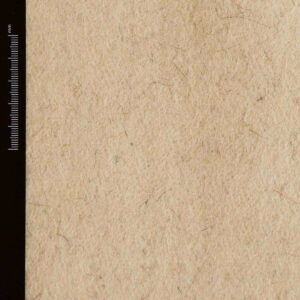 Wool Fabric Heavy Loden Fulled Twill off White - WWL 02/01