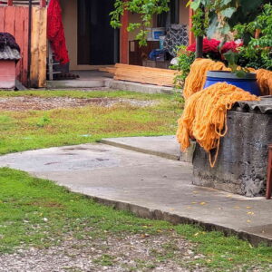 Dyed skeins of wool drying