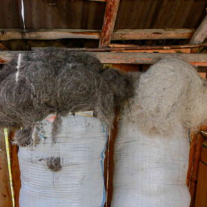 Wool sacks ready for further processing and spinning
