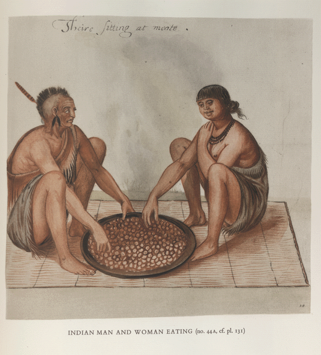 Indian Man and Woman Eating by John White created 1585-1586, Licensed by the Trustees of the British Museum. Copyright the British Museum.