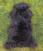 continental_sheep_sheepskins