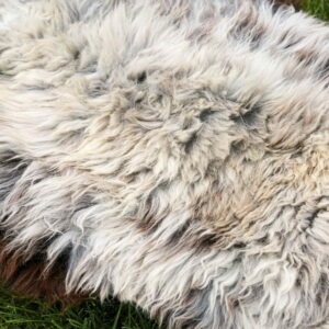 continental_sheep_sheepskins