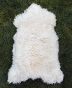 continental_sheep_sheepskins