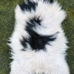 Islandic_sheep_sheepskins