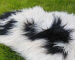 Islandic_sheep_sheepskins
